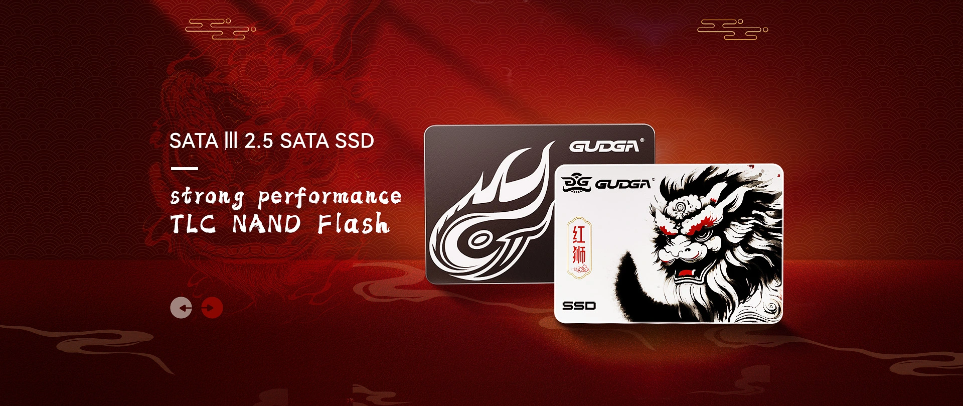 Calitate 2.5 SATA SSD Producător angro