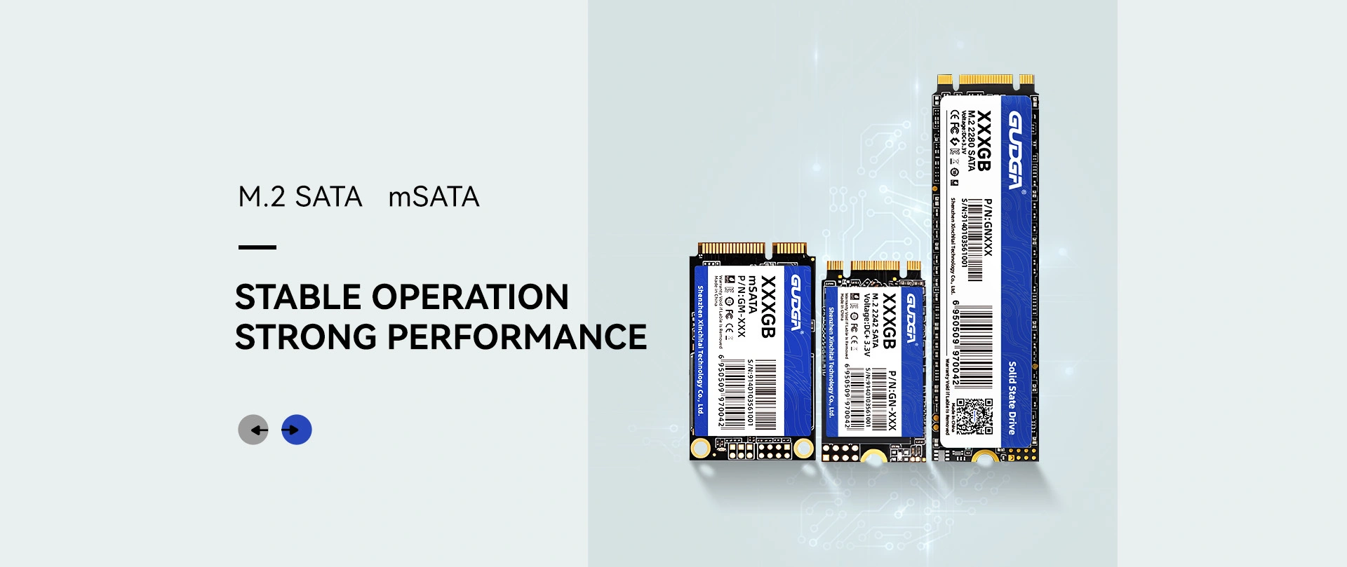 China Reducere M.2 SATA SSD Producător