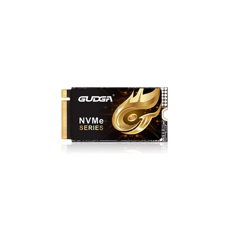 2242 Lungime PCIE 4.0 NVMe SSD 7000MB/s
